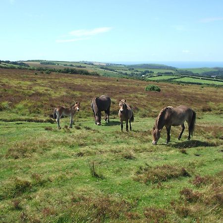 Coombe Farm Bed & Breakfast Lynton Luaran gambar