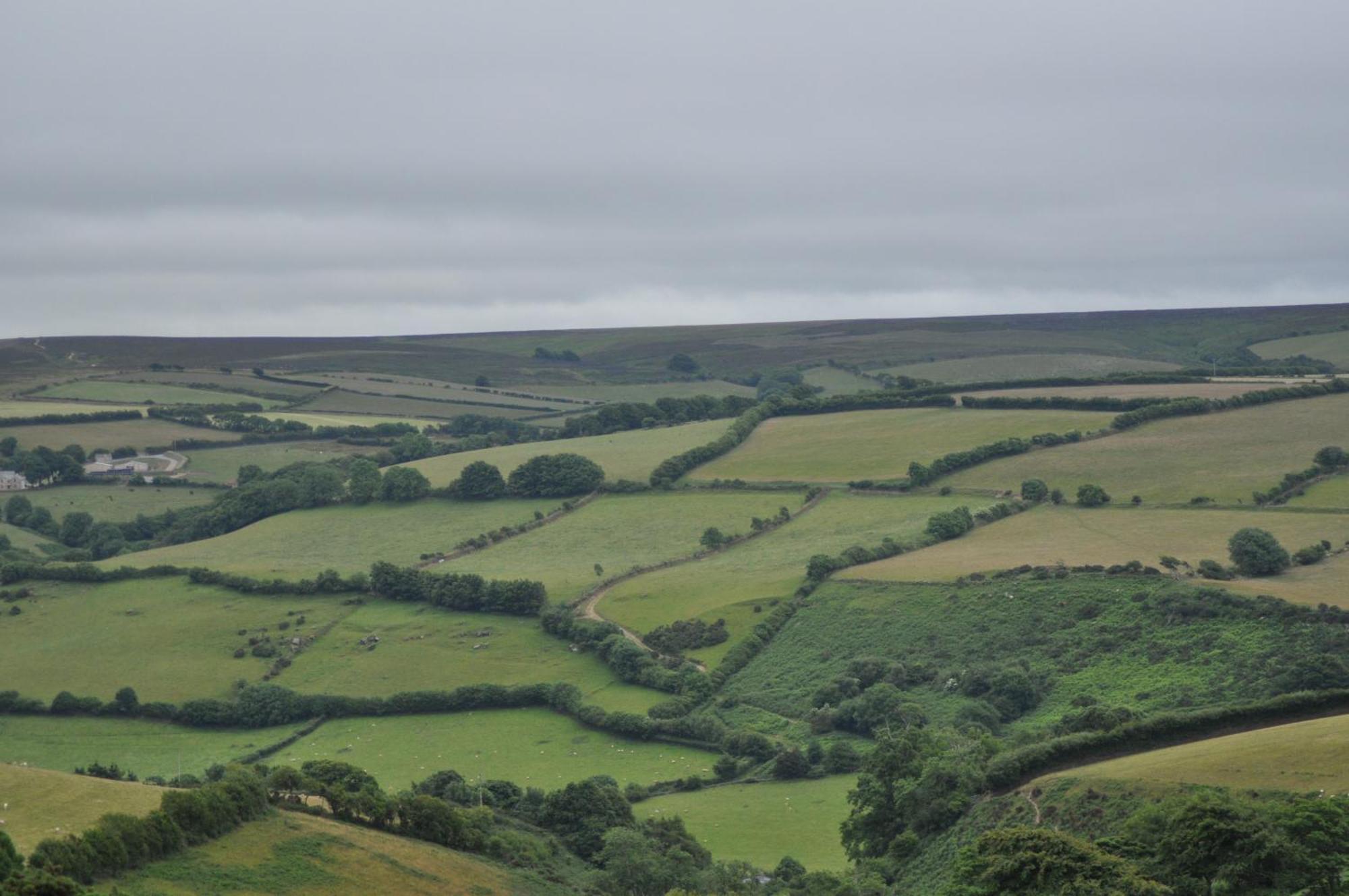 Coombe Farm Bed & Breakfast Lynton Luaran gambar
