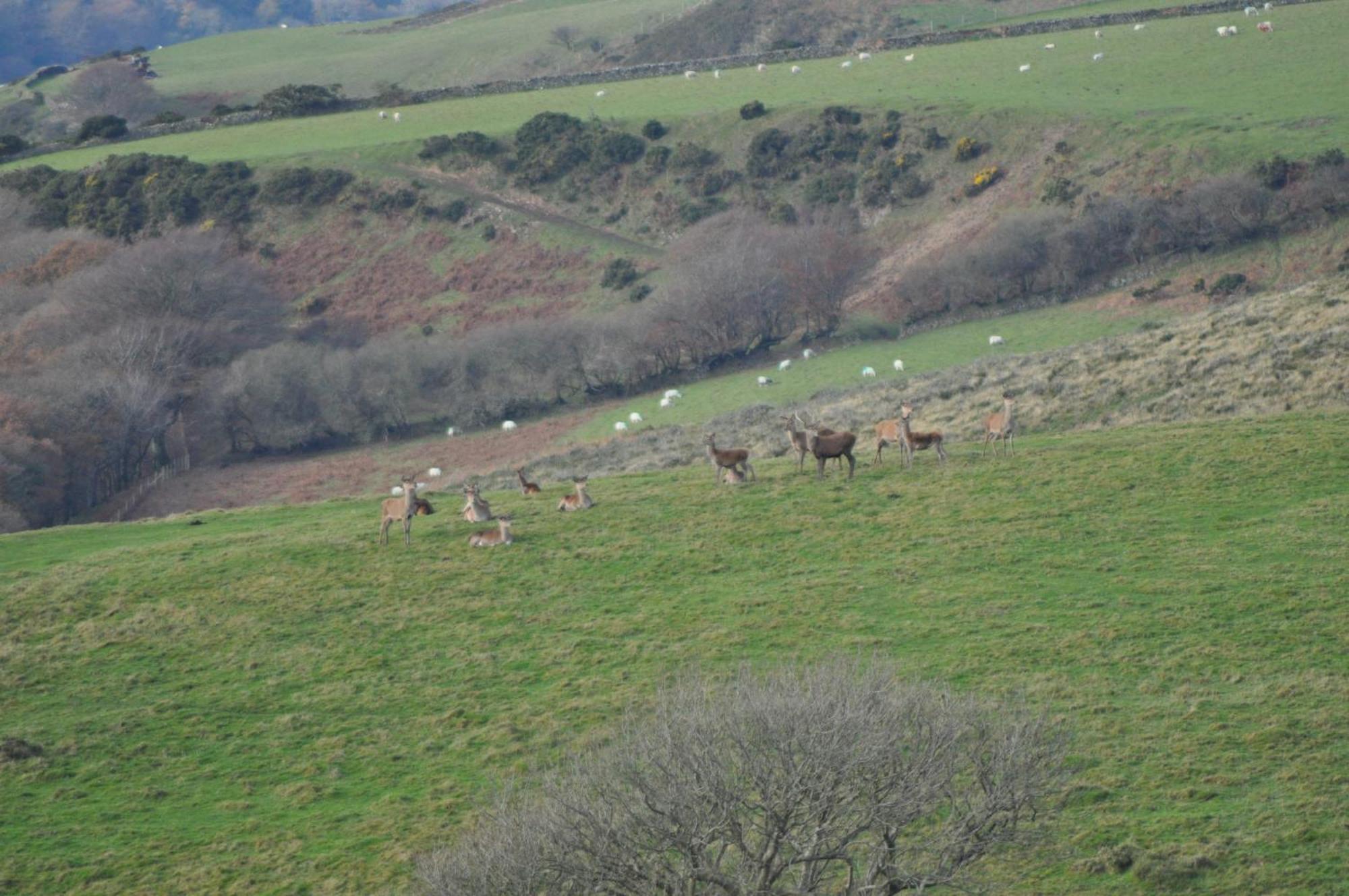 Coombe Farm Bed & Breakfast Lynton Luaran gambar